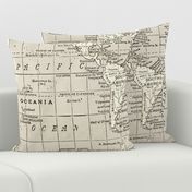 Taupe World Map