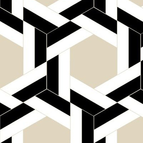 Braided Black White and Beige Hexagons