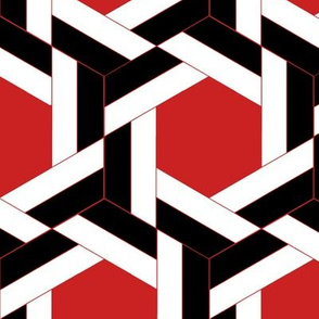 Braided Black White and Red Hexagons