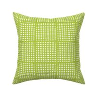 Lime Gingham