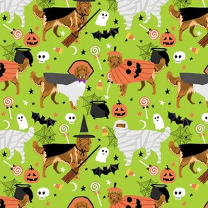 Nova Scotia Duck Tolling Retriever halloween  fabric - dog breed fabric, dog fabric, pet fabric, halloween fabric, dog, dogs, dog breeds, nova scotia retriever - green