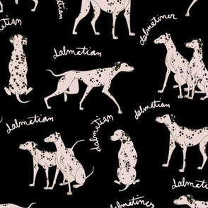 Dalmatian Playful Writing