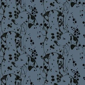 Dalmatian Infinity