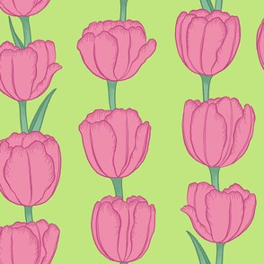 Spring Pink Tulip Stripe