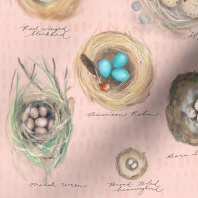 nature journal: cozy bird nests on blossom