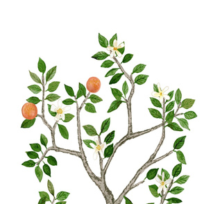 Citrus Grove Orange Tree Panel B White
