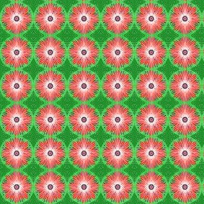 BYF1 - Small - Bull's Eye Floral in Coral and Green