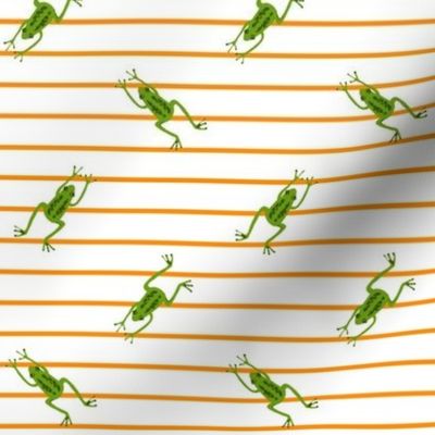 Froggies and Stripes