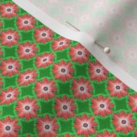 BYF1 - Tiny - Bull's Eye Floral in Coral and Green