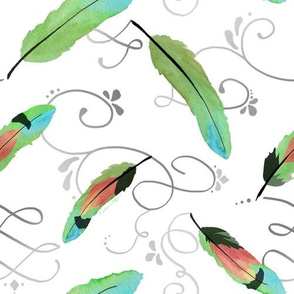 Colorful Lovebird Feathers