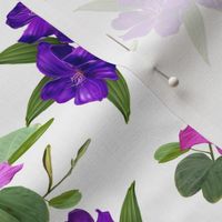 Lilies In Purple Hues