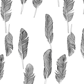 Ink feathers black and white