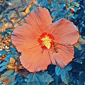 Hibiscus and bee