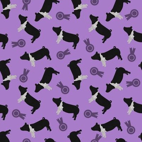 Chasing Purple - Pigs Hamp