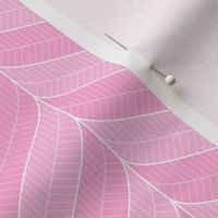 00864909 : tickled pink - feather border