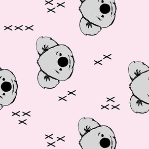 Koala // lace C19BS