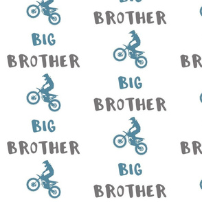 motocross big brother