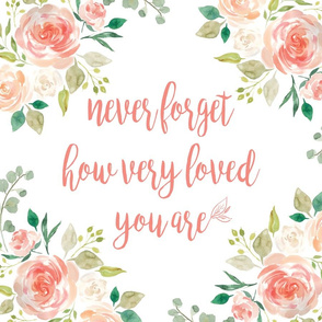 18x18" never forget how very loved you are 6 loveys