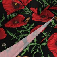 Botanical Red Poppy Flowers with Butterflies - Black Larger Size