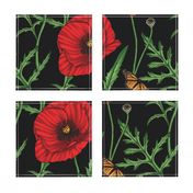 Botanical Red Poppy Flowers with Butterflies - Black Larger Size