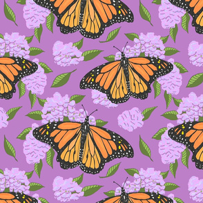 monarch mauve 12x12