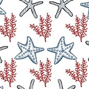 Starfish & Seaweeds