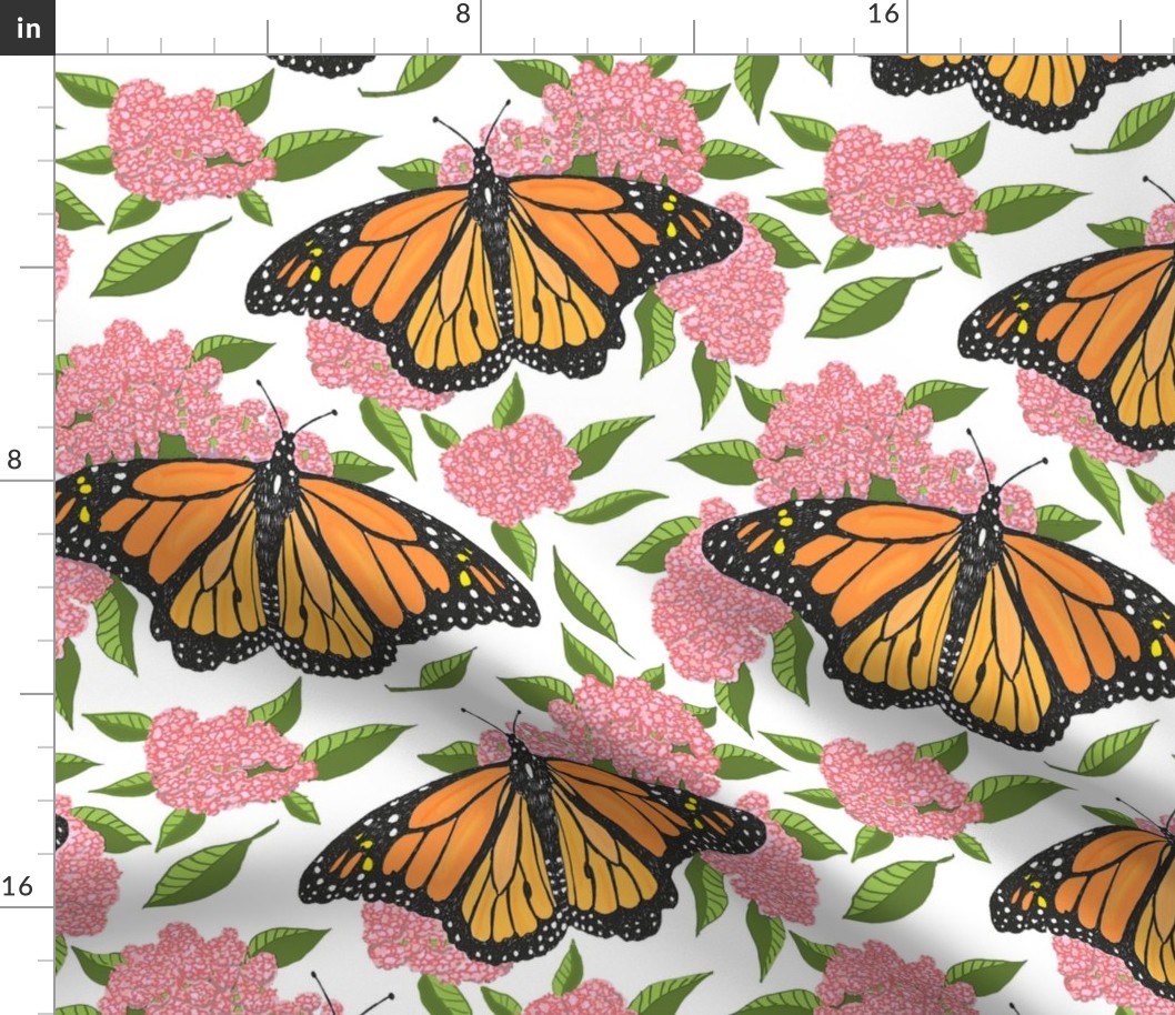 monarch and milkweed 12x12