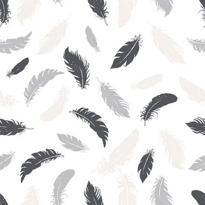 Monochrome Feathers