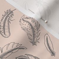 Pastel Sketched Feathers