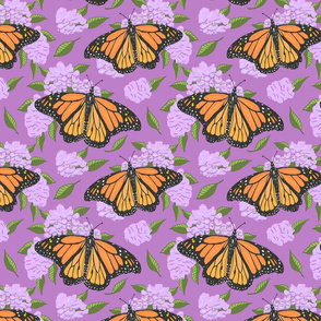 monarch mauve 8x8