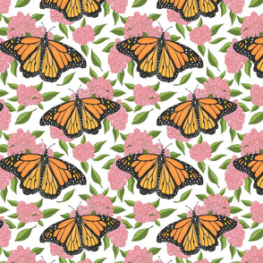 monarch and milkweed 8x8