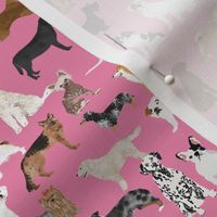 Dogs fabric -  dog fabric lots of breeds cute dogs best dog fabric best dogs cute dog breed design dog owners will love this cute dog fabric - pink