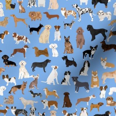 Dogs fabric -  dog fabric lots of breeds cute dogs best dog fabric best dogs cute dog breed design dog owners will love this cute dog fabric - baby blue