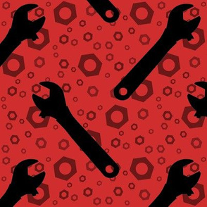 Adjustable Wrenches & Nuts on Red