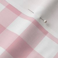 14" Sweet summer nordic scandinavian  gingham,  english country, pink and white fabric 