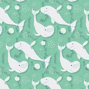 Beluga Whale Teal text