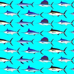 Five Billfish on cyan