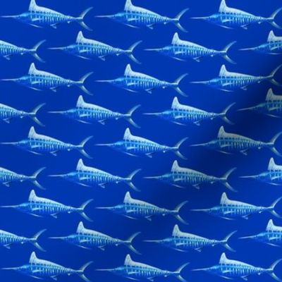 Striped Marlin in blues