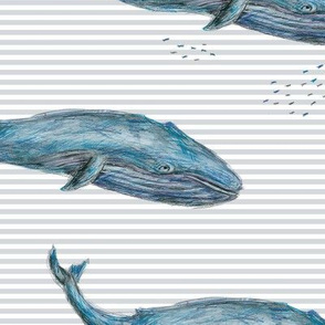 Blue Whale on grey stripes