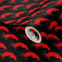 Deep Sea Red Shrimp on black