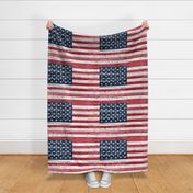 (27 x 18 panel) American Flag Distressed - Fat Quarter Minky - C19BS