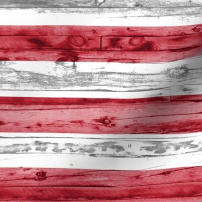 (27 x 18 panel) American Flag Distressed - Fat Quarter Minky - C19BS