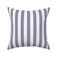 JP35 - Basic Stripes in Two Tone Lavender Grey