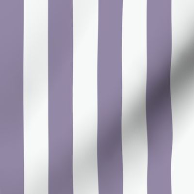 JP35 - Basic Stripes in Two Tone Lavender Grey