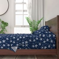 Starfish in Navy