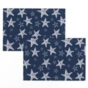 Starfish in Navy