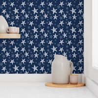 Starfish in Navy