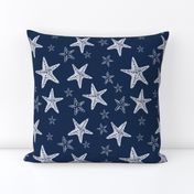 Starfish in Navy