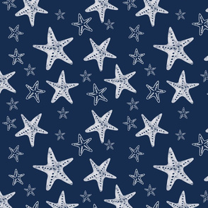 Starfish in Navy