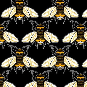 Big Bee A
